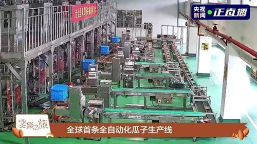 洽洽荣获第二十届中国食品安全大会多项殊荣，技术服务引领行业标准